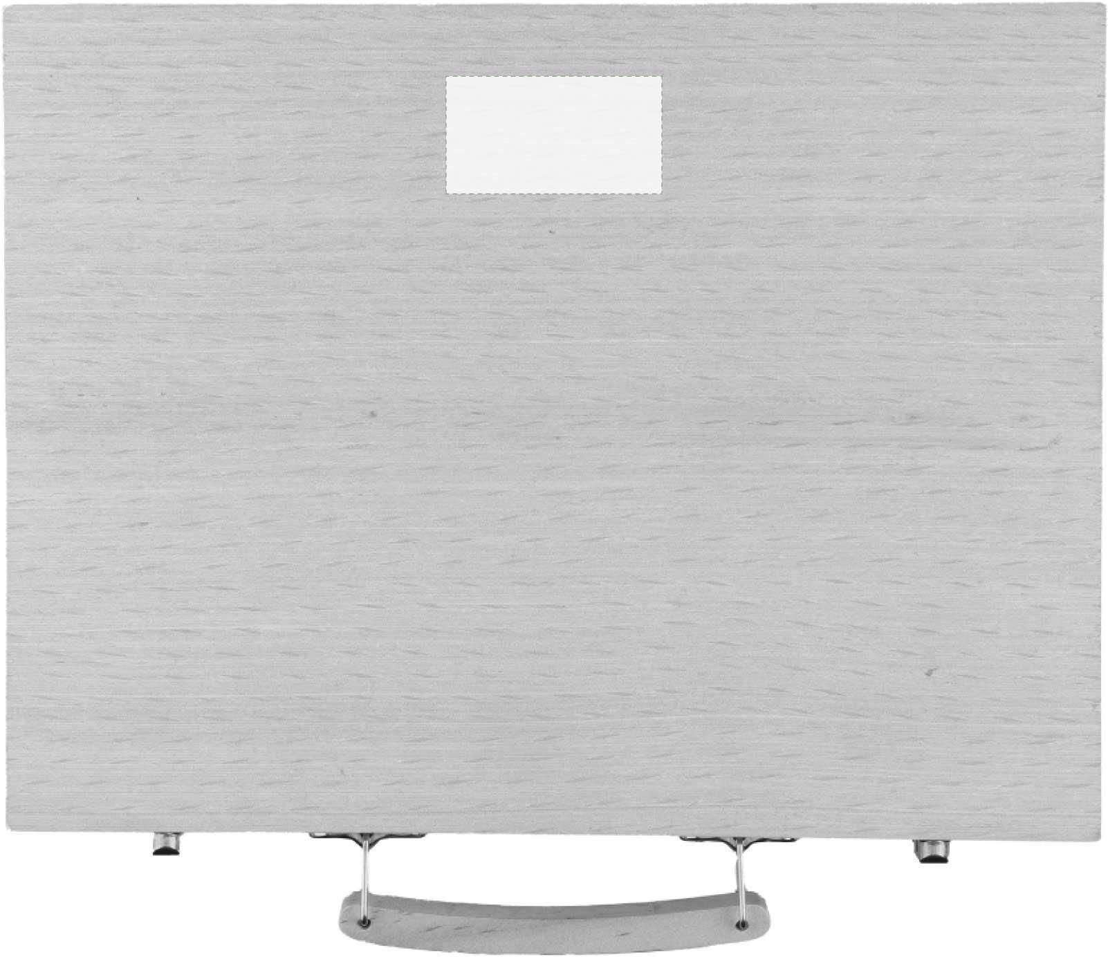Parte frontale: 55mm x 30mm