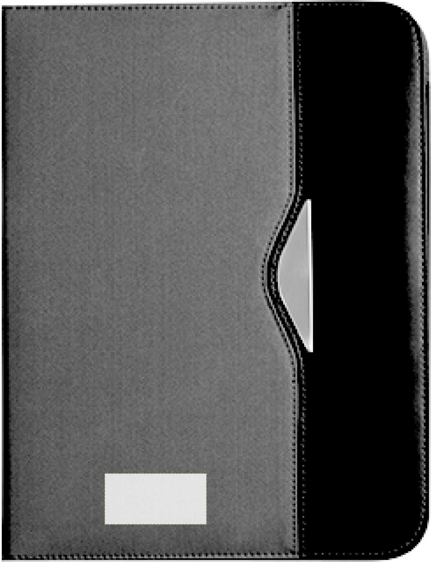 Parte frontale: 60mm x 30mm