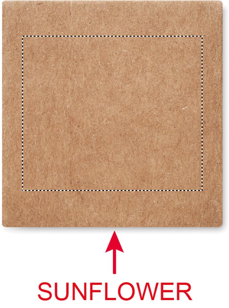 Fronte: 35x30 mm
