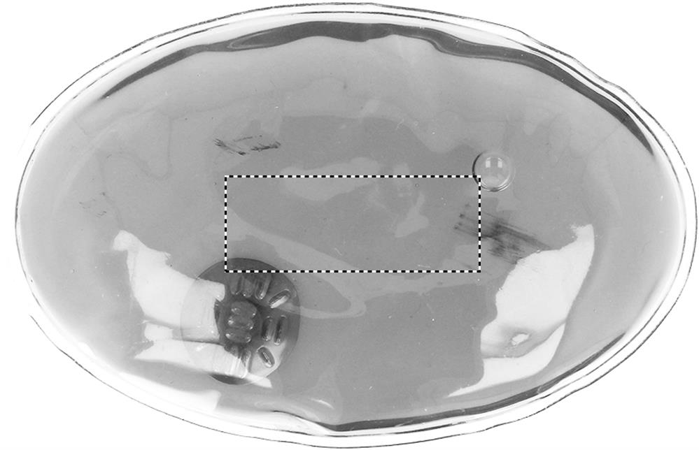 Fronte: 40x15 mm