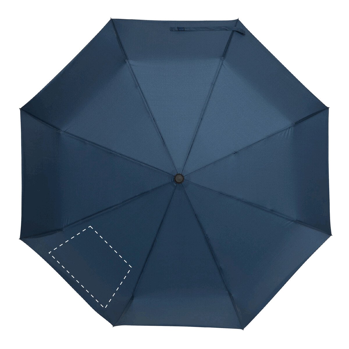 spicchio2: 50cm²