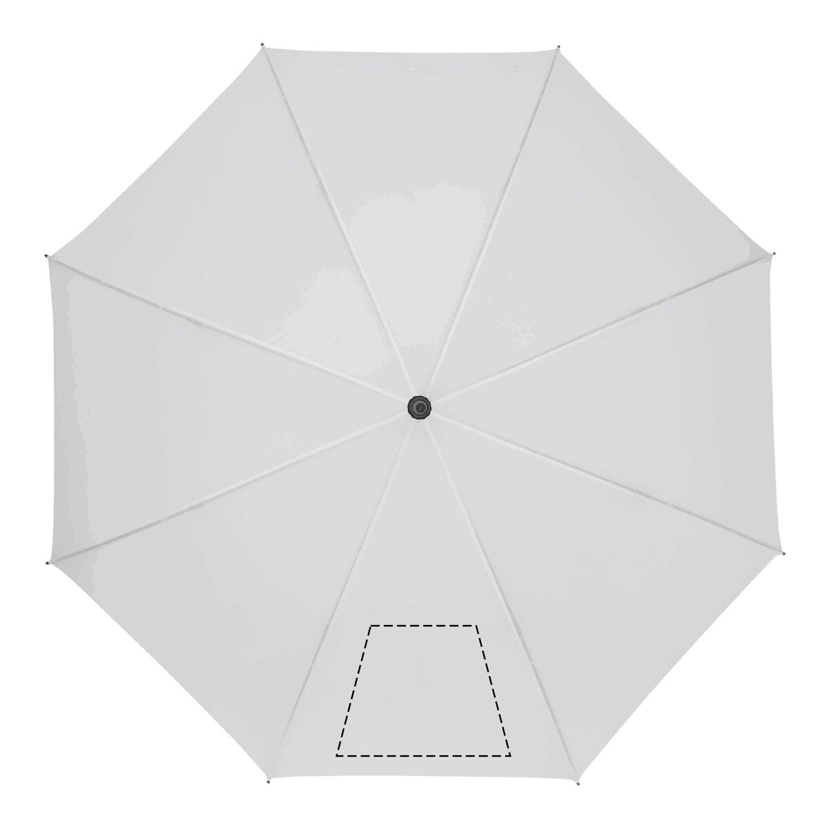 spicchio2: 50cm²