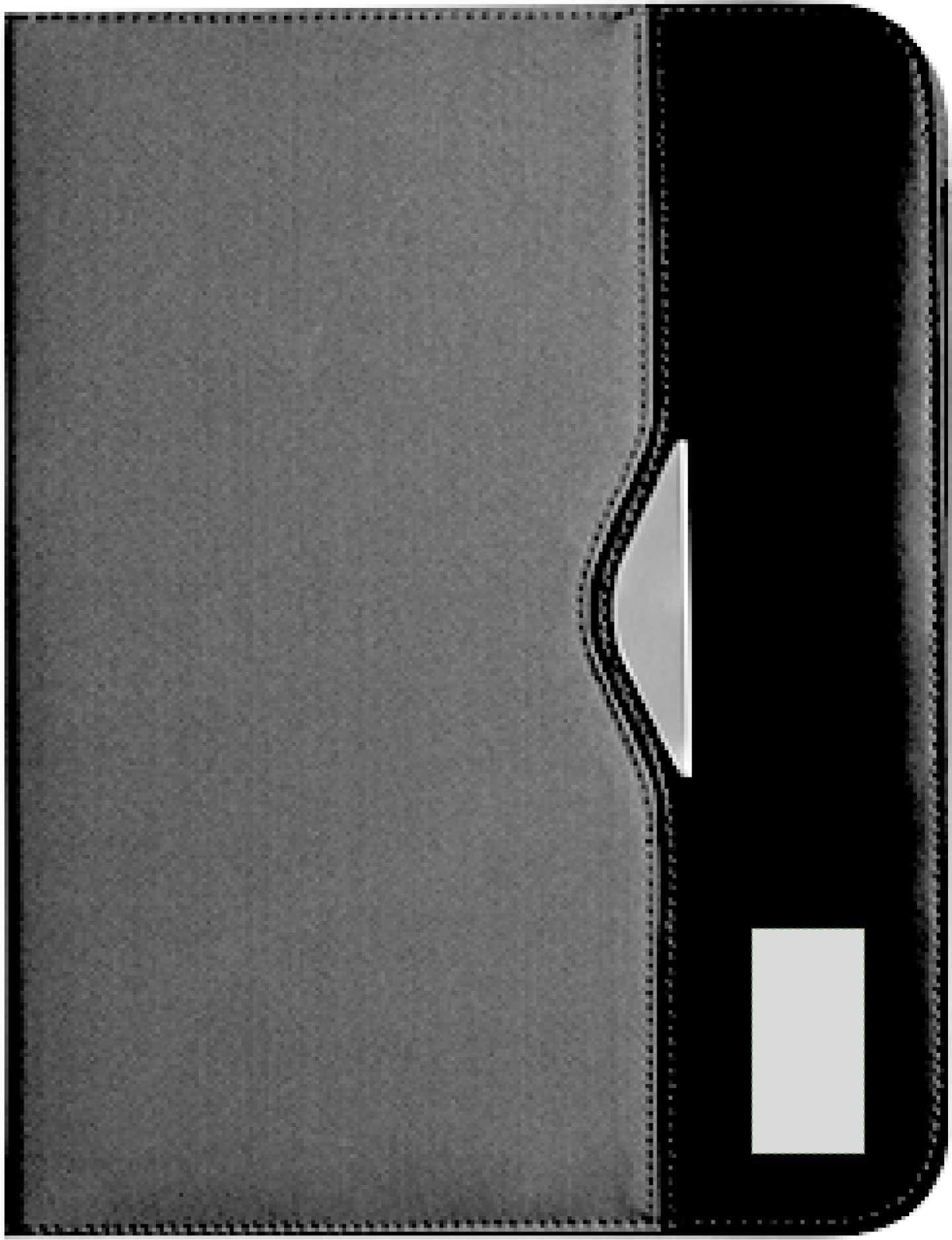 Altri: 60mm x 30mm