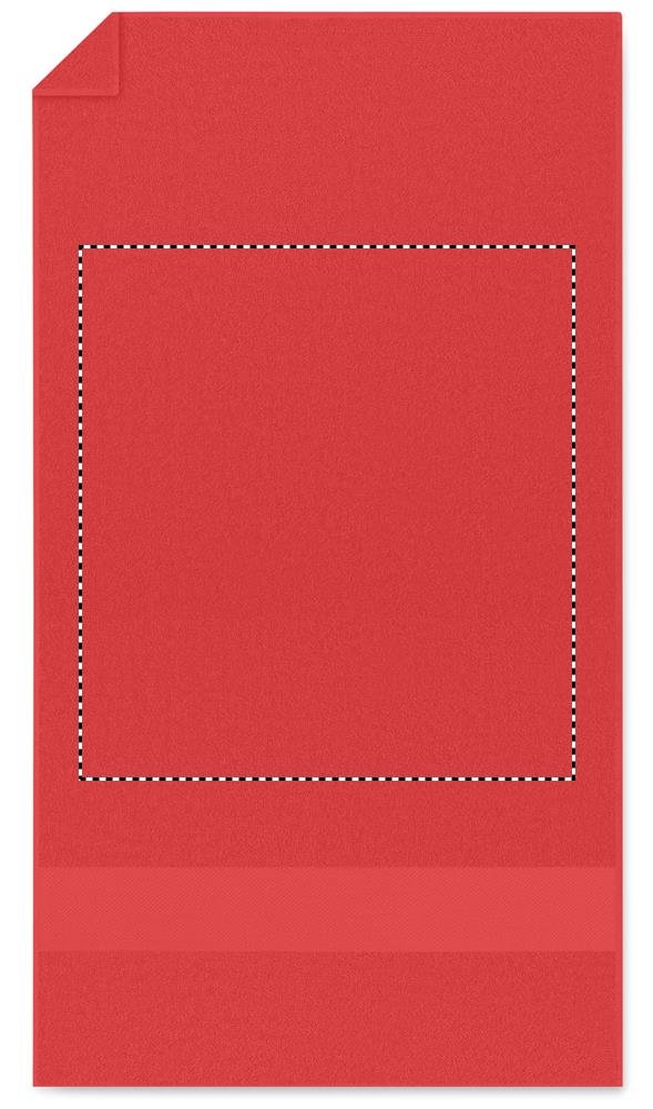 Parte centrale: 250x270 mm