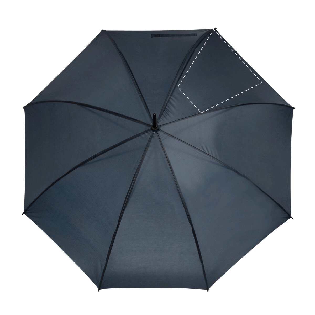 spicchio3: 160 x 300 mm