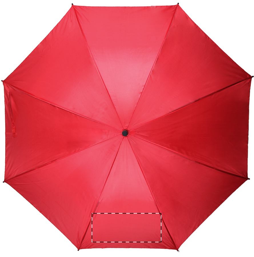 Sinistra: 220 x 110 mm