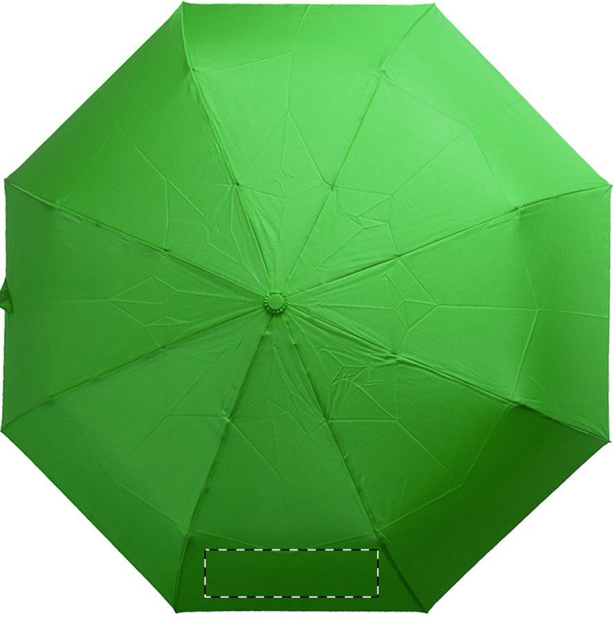 Spicchio 3: W:220 mm x H:110 mm x D:0 mm