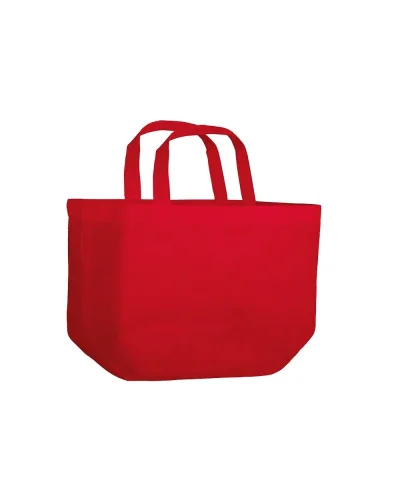 Borsa shopper Divine in TNT 80g, grande, manici lunghi, 51x32x20
