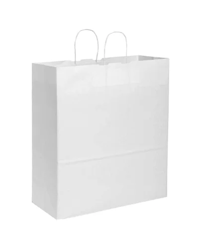 SHOPPER IN CARTA 100 GR MANIGLIA RITORTA