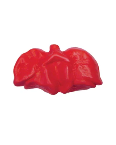 Polmoni Antistress in Poliuretano 34g - Relax e Benessere【Rosso】
