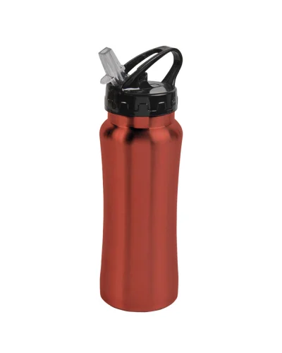 Borraccia Acciaio Inox 600ml con Cannuccia Estraibile