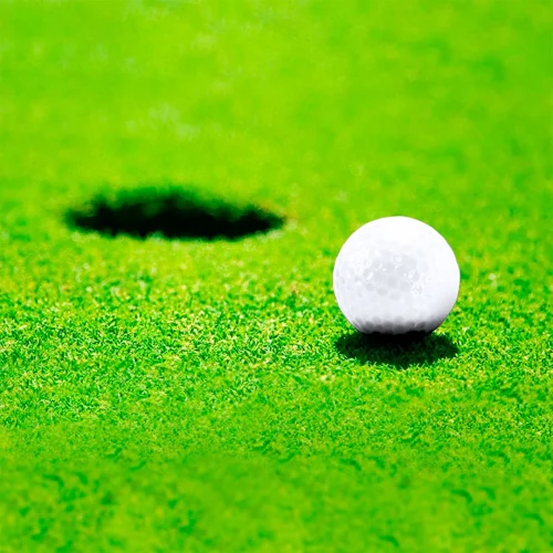 Palla da Golf Nessa colorata 4 strati, Ø 4,2 cm