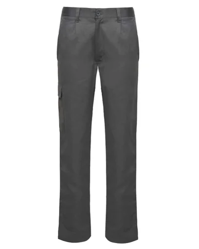 Pantaloni da lavoro Daily Next, resistenti, regular fit Piombo