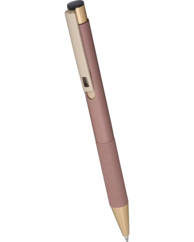 Penna a sfera remy
