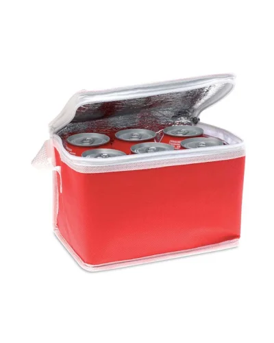 PROMOCOOL Borsa Frigo 6 Lattine TNT Alluminio 3L