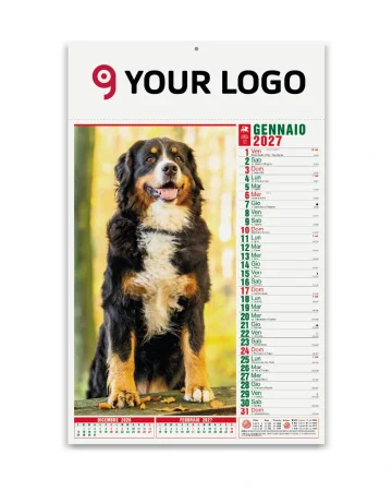 Calendario Cani e Gatti 12 mesi, 29x47 cm, carta patinata 70gr