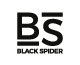 Black Spider