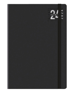 Agendina Winner giornaliera S/D abb 9x15