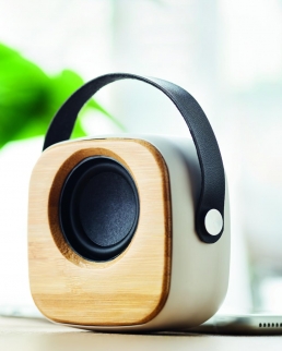 Bamboo Speaker