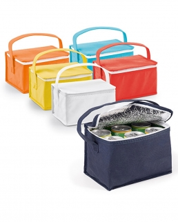 Borsa frigo capienza 6 lattine in TNT 20 x 14 x 13 cm