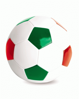 Pallone ufficiale