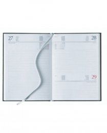 Interno Giornaliero 15x21