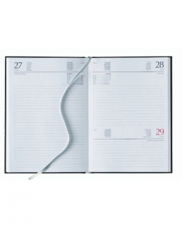 Interno Giornaliero 15x21