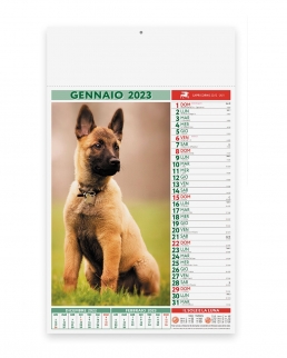 Calendario mensile Cani e Gatti