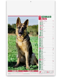 Calendario mensile Cani e Gatti
