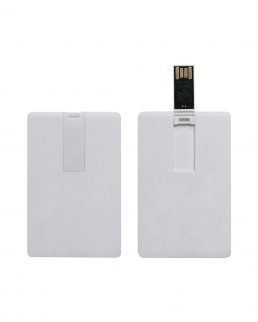 Chiavetta USB 4 gb Card