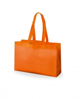 Shopper Akita