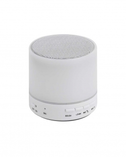 Speaker Wireless Midland